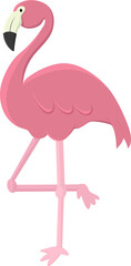 Obraz premium Pink Flamingo Standing Gracefully 