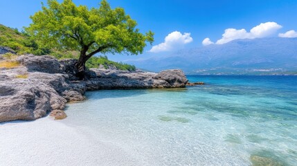 Secluded Beach Lone Tree Vibrant Summer Style High-Definition Landscape Wide Angle View Crystal Clear Water Tranquil Escape Mountainous Backdrop Bright Turquoise Tones Tourism Brochure