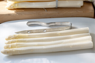Dutch farmers high quality products, washed and peeled fresh white asparagus, seasonal vegetarian food