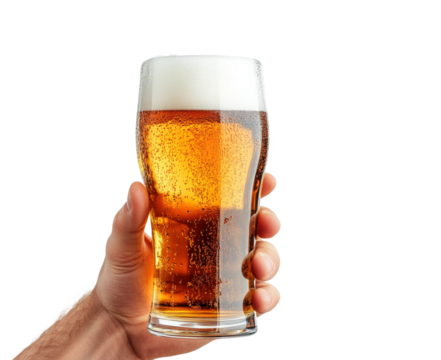Celebrating craft beer tasting pub garden beverage isolated on transparent background