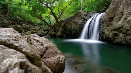 Lush waterfall cascading into a serene pool surrounded by rocks and lush greenery