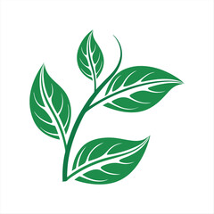 Minimalist Green Leaf Branch Illustration – Eco Nature Concept Design.