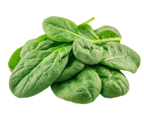 Harvest fresh spinach leaves organic farm food nature isolated on transparent background