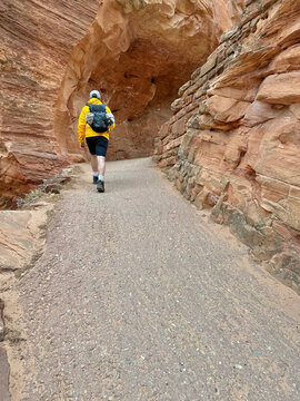 Rear view of a man Hiking along the switchbacks of Angel's Landing, Zion National Park, Utah, USA