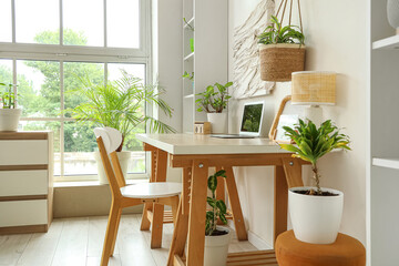 Interior of light living room with green houseplants, workplace and shelf unit