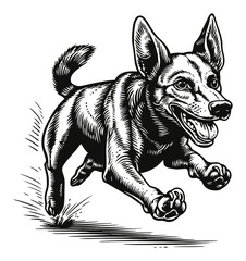 Detailed Engraving of a Playful Dog in Motion Hand Drawn Illustration