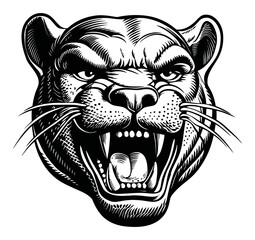 Detailed Hand-Drawn Engraving of a Fierce Panther Face Illustration