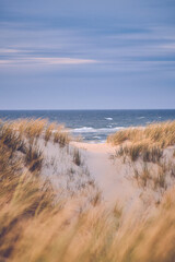 Sand dunes at danish north sea coast. High quality photo