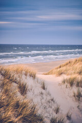 Scenic dune at danish north sea coast. High quality photo