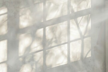 Realistic and minimalist blurred natural light windows shadow overlay on wall paper texture abstract background minimal abstract light beige background for product presentation 3d wallpaper wallpaper