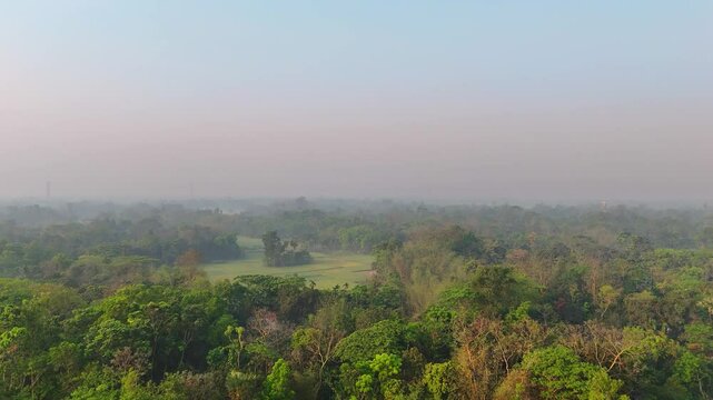 Misty morning in the field aerial view