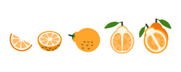 Hallabong korean citrus fruit vector clipart collection. Perfect art for stickers, poster, label, sale, card. Hand drawn illustration for decor and design.