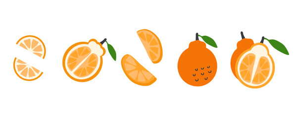 Jeju island orange hallabong vector collection. Perfect for stickers, poster, label, sale, card. Hand drawn illustration isolated on a white background.