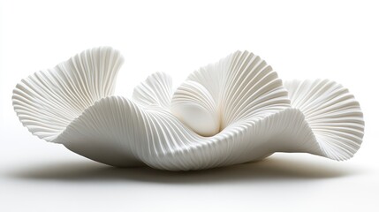 Abstract Sculpture with Organic Flowing Lines and Curves in White