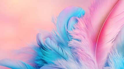 Obraz premium Pastel pink blue feathers close-up, soft background, delicate texture, design element