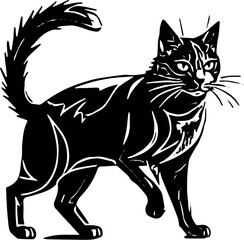 black cat vector illustration