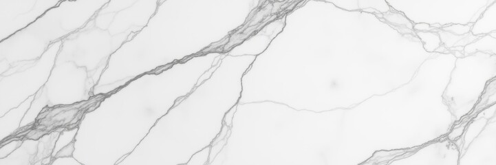 Elegant white marble texture with gray veining