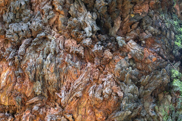 Close-up of the extremely rough and detailed texture of a tree's bark in shades of brown, gray, and orange, ideal as a natural background texture.