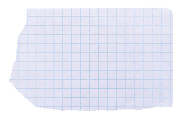 Piece of smooth ripped checkered paper isolated element with copy space