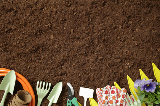 Gardening tools on soil background with flowers