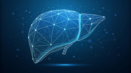 Human liver research. Wireframe low poly style. Concept for medical, pharmacology, treatment of the hepatitis. Abstract modern 3d vector illustration on dark blue background.