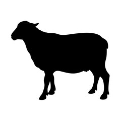 Black sheep silhouette vector illustration farm animal livestock ewe lamb mutton wool design graphic art