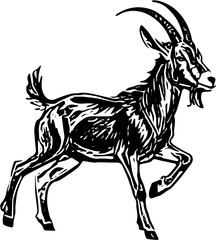 goat on white background