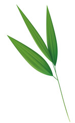 Illustration of Green Leaves on Stem