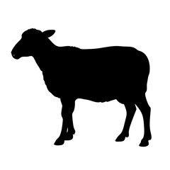 Black sheep silhouette vector illustration farm animal livestock design element isolated art graphic