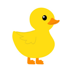 Cartoon Yellow little Duck Illustration