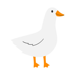 Cartoon Illustration of a White Duck