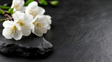 Fototapeta premium Delicate white blossoms on dark stone