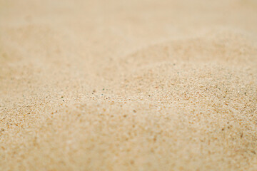Heap of dry beach sand on white background