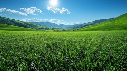 Obraz premium Lush green meadow stretches into mountains under a vibrant blue sky
