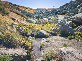 Panorama of Vitosha Mountain near Cherni Vrah peak, Bulgaria