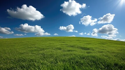 Obraz premium Lush green field under a vibrant blue sky