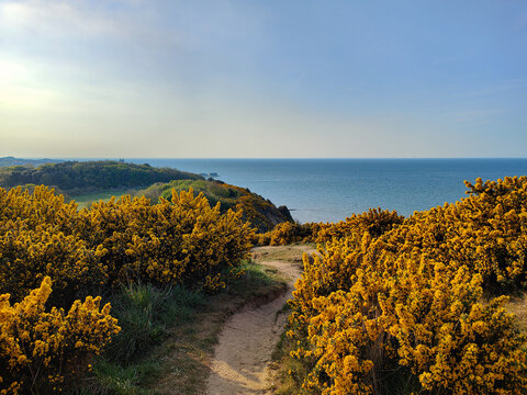 Scenic seashore view from the cliffs. Blue water, footpath, hills and yellow flowers. Cromer, Norfolk, England, UK