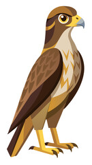 red tailed hawk