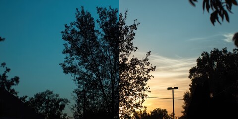 Silhouettes of trees against contrasting sky at sunset