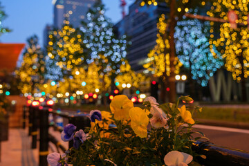 イルミネーションに輝く大阪御堂筋の夜