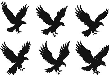 Obraz premium A Set of Eagles with Open Wings