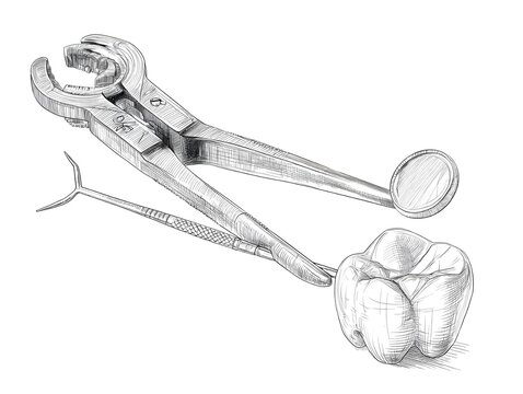 dental tools sketch: forceps, mirror, tooth clip art preview