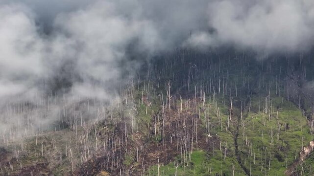Sinabung volcano and slopes after the eruption. Sumatra, Indonesia.