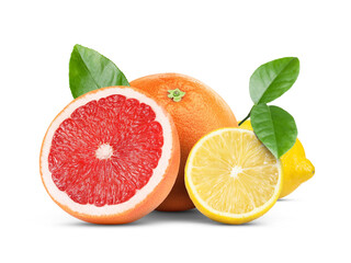 Fresh citrus fruits and green leaves on white background