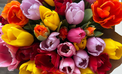 Сolorful tulips flower bouquet close up. Floral banner. Greeting card, Valentines day, 8 march, Womens day, Mothers day, top view