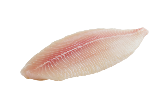 Fish fillet is shown on a white background, isolated