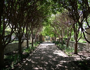 Fototapeta premium Ewing and Muriel Kauffman Memorial Garden