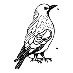 Obraz premium Elegant monochrome avian illustration with delicate detailing and distinct lines
