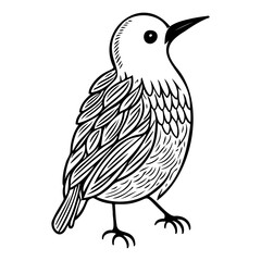 Stylized avian illustration with linear feather detailing and minimalist design