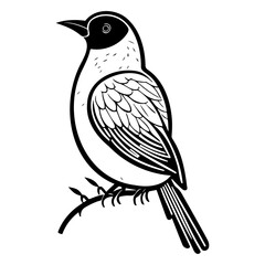 Elegant avian illustration displaying intricate feather details in a minimalistic design